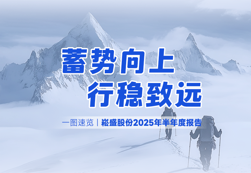 一图快览 | IM体育股份2025年半年度汇报